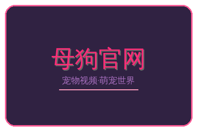 母狗官网